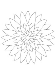 Flowers  Leaves Coloring page Adult.Contour drawing of a mandala on a white background.  Vector illustration