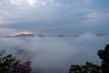 雲海の朝