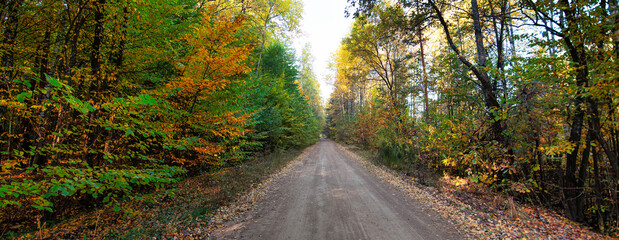 Fallen Leaves and Open Roads: An Autumn Escape