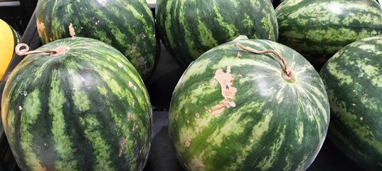 Fresh watermelons on the counter in a supermarket.Selective focus.