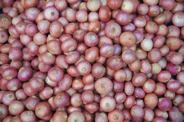 Texture or background of pile of common onions shallots raw vegetables fresh organic food.