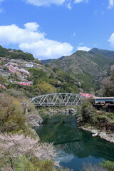 Fototapeta premium 越知町と仁淀川町を繋ぐ寺村橋 （高知県）