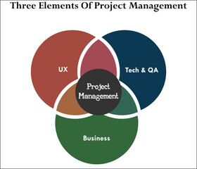 Three elements of Project Management - UX, Business, Tech and QA. Infographic template