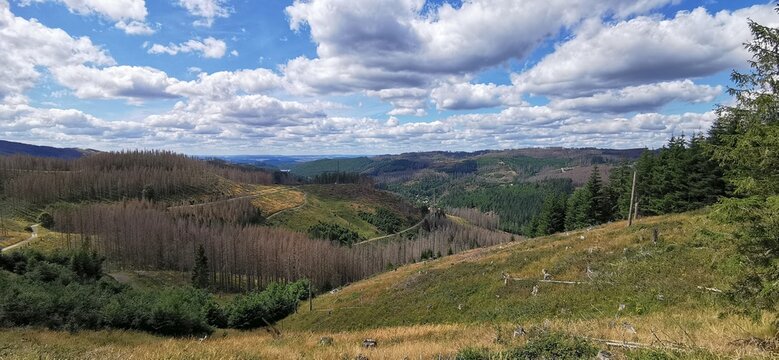 Wandern in Harz