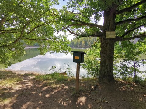 Wandern im Harz