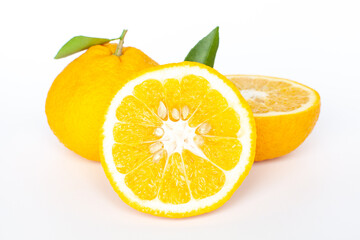 カットしたみかん