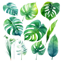 Afwasbaar Fotobehang Tropische bladeren Watercolor Tropical Monstera Leaves, Generate Ai