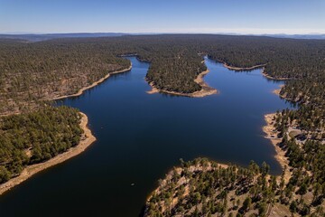 Fototapeta na wymiar Aerial drone shot of the Woods Canyon Lake near a forest in Arizona, United States