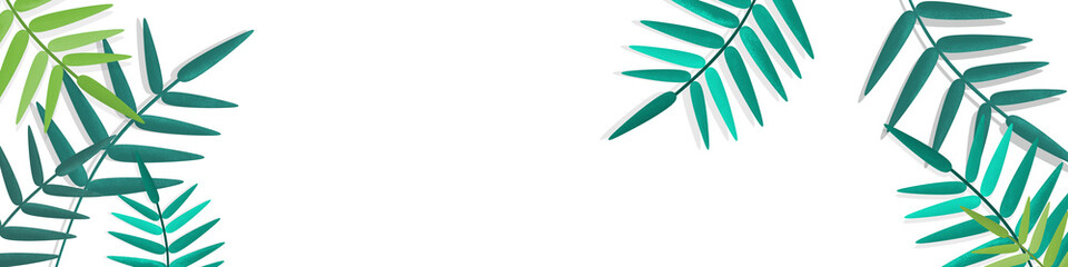 Banner with a green leaves of palm on a white background