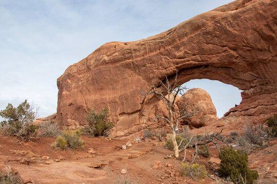 Rock Structure in the High Desert