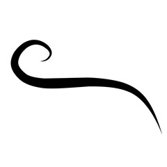 Swirl stroke ornament. Ornamental curls, swirls dividers and filigree ornament vector illustration