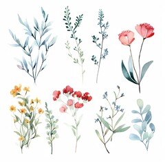 Watercolor Floral Clipart, Wild Flowers, Generate Ai