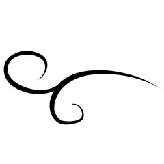 Swirl stroke ornament. Ornamental curls, swirls dividers and filigree ornament vector illustration