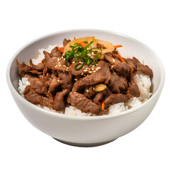 Delicious bulgogi with rice recipe  korean food