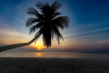 Fototapeta na wymiar Coconut palm tree on sea beach with dramatic orange sunset sky, nice sea view tropical landscape summer beach, relaxation holiday vacation at paradise island.