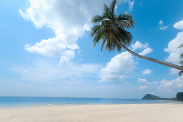 Coconut palm tree on beautiful white sandy beach and cloudy blue sky, nice sea view tropical landscape summer beach, relaxation holiday vacation at paradise island.