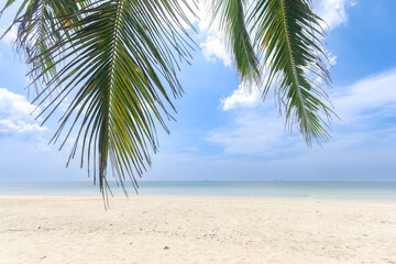 Coconut palm tree leaves on sea beach with cloudy blue sky, nice sea view tropical landscape summer beach, relaxation holiday vacation at paradise island, sea view with empty space.