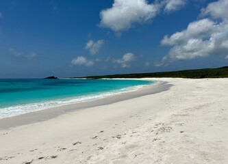 A beach on Espanola Island in the Galápagos Islands