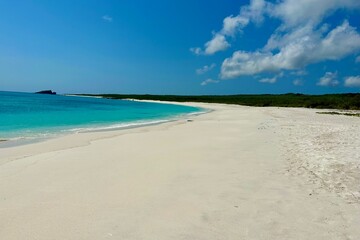 A beach on Espanola Island in the Galápagos Islands