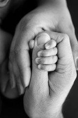 Fototapeta premium Close-up of the small hand of the child and the hand of the mother and father. A newborn baby after birth clings tightly to the finger of its parents. Black and white professional studio macro photo