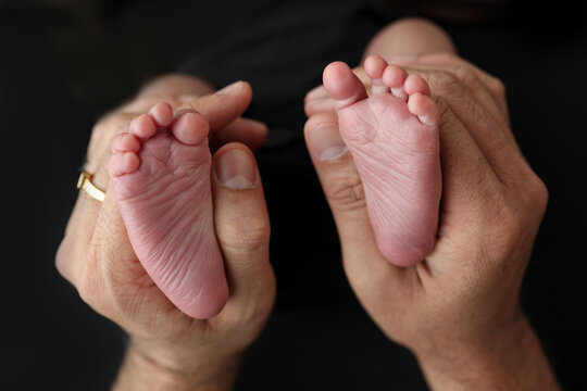 A mother hold the feet of a newborn child in a black blanket on a Black background. The feet of a newborn in the hands of parents. Studio macro photo legs, toes, feet and heels of a newborn.