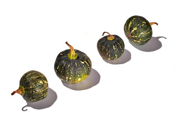 Autumn Pumpkins for halloween and thanksgiving day decor. Pumpkins on white background