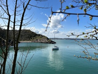 view of a sailing boat through the trees by the coast on a sunny day. Brixham, Devon, England, United Kingdom