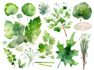 水彩で描いた緑色の葉っぱ