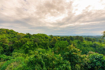 View of a green tropical jungles in Southeast Asia