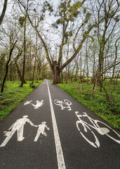 droga dla pieszych i droga dla rowerów w parku - obrazy, fototapety, plakaty