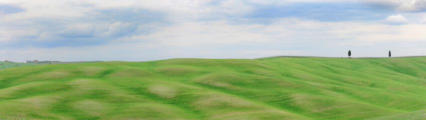 Typical landscape, solitary trees on rolling green hills in spring in the Val d'Orcia in Tuscany, Italy. - Powered by Adobe