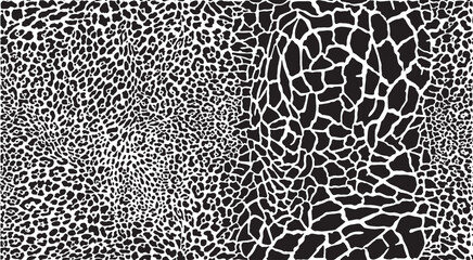  Leopard and giraffes skin seamless background