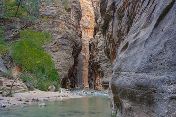 Wall Street at the Narrows in Zion National Park