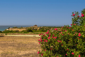 Remains of Greek temples