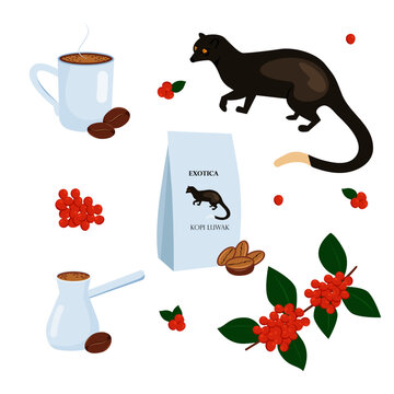 Traditional kopi luwak coffee.  Luwak coffee logo vector for your brand label,cafe or shop.
