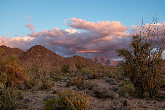 Hills in the Desert Landscape