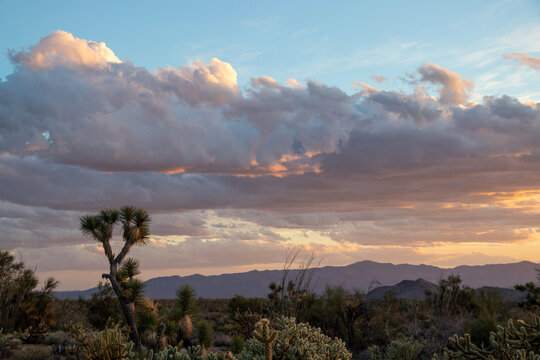 sunset in the high desert mountains