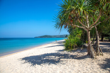 Beautiful deserted beach. Colorful sea. Blue sky. Sand on the beach. Mountains in the distance. Beautiful seascape.