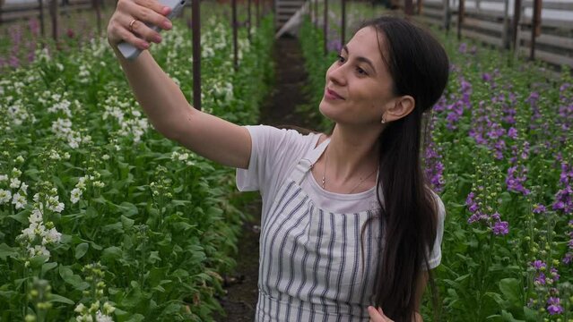 a girl in a striped apron, smiling and posing, takes a selfie on her smartphone against the background of flower rows with matiola. Homemade homemade greenhouse. Family business and business