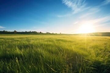 Fototapeta na wymiar Idyllic Scenery: Green Grass Field Against a Sunlit Blue Sky - Generative AI