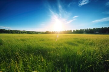 Picturesque Green Grass Landscape with a Sunlit Blue Sky Background - Generative AI