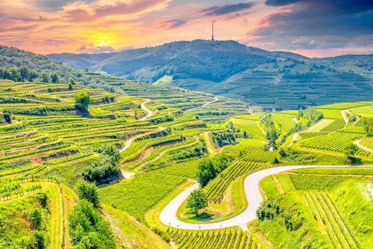 Kaiserstuhl in Endingen, Deutschland 