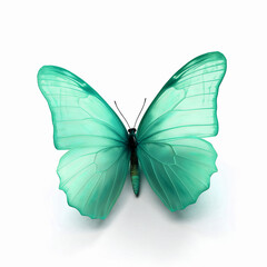 Naklejka na ściany i meble Green butterfly , isolated on white