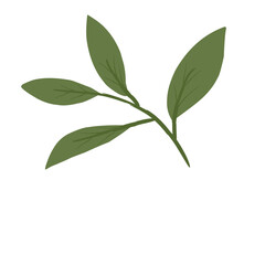 Leaves Illustration 