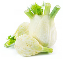 Florence fennel bulbs isolated on white background.