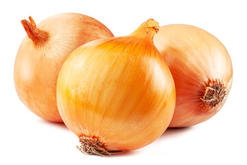 Fototapeta premium Yellow onion bulb isolated on white background.