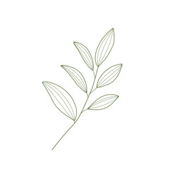 Leaf Lineart 
