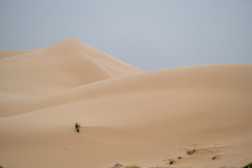 Fototapeta na wymiar The beautiful sand dunes in bou saada the closest desert place for the capital.