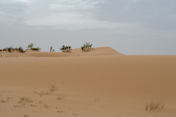 The beautiful sand dunes in bou saada the closest desert place for the capital.