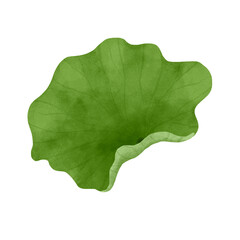 Watercolor lotus leaf.